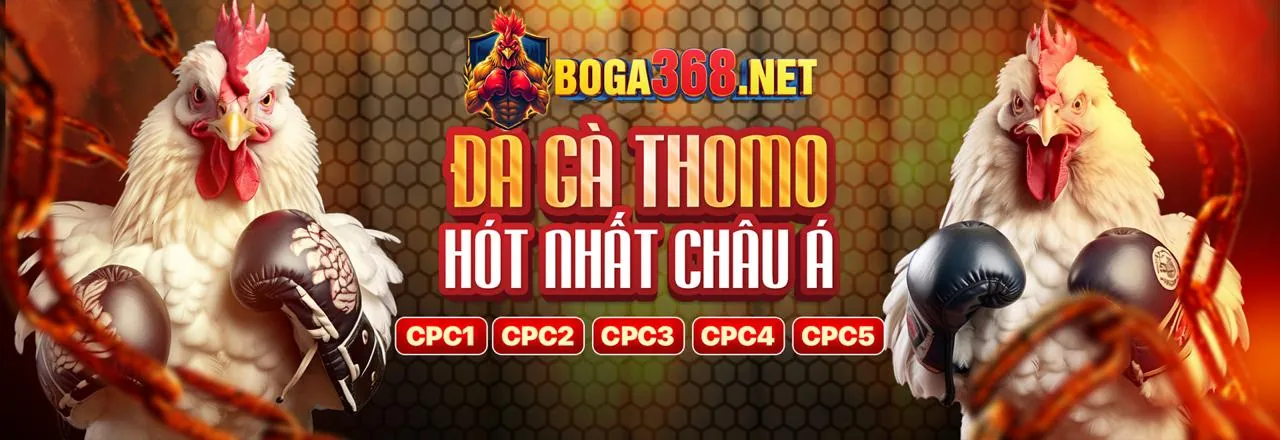 Hình ảnh tổng quan về tin tức hdbet casino