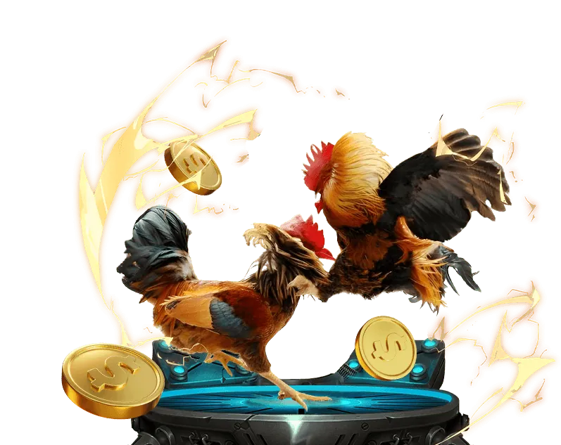 Đội ngũ hỗ trợ khách hàng 24/7 của hdbet casino